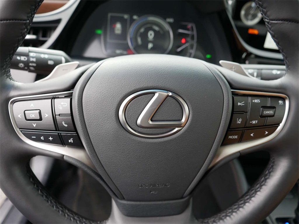 2024 Lexus ES 300h 17