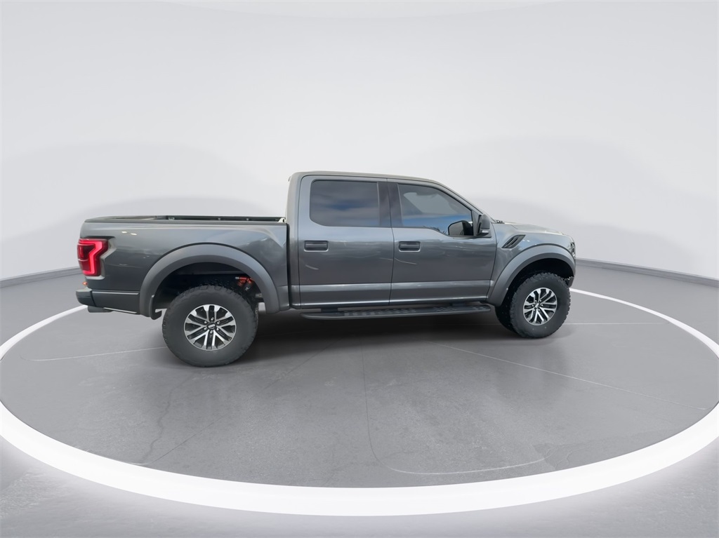 2020 Ford F-150 Raptor 12