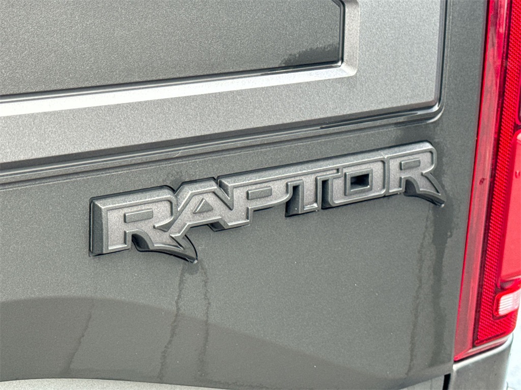 2020 Ford F-150 Raptor 14