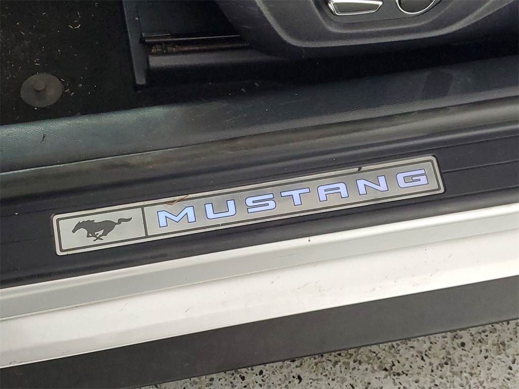 2019 Ford Mustang EcoBoost Premium 29