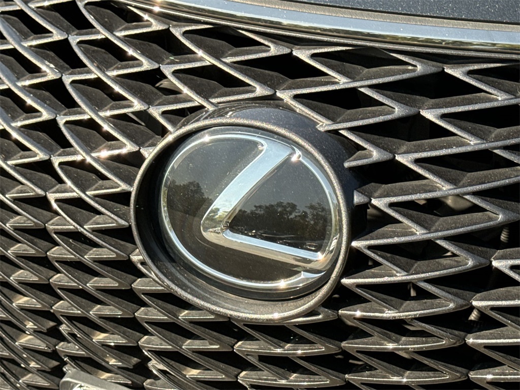 2020 Lexus RX 350 F Sport 14