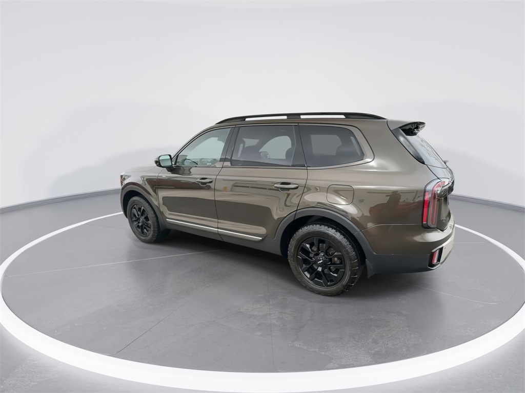 2023 Kia Telluride SX-Prestige X-Pro 8