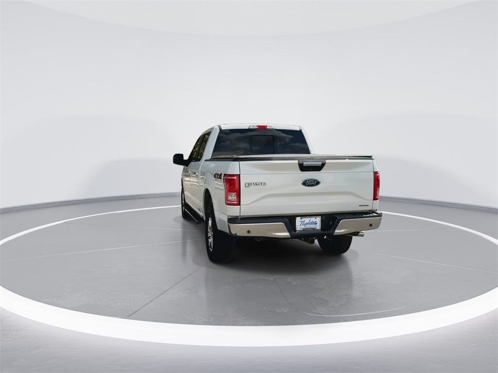 2015 Ford F-150  9