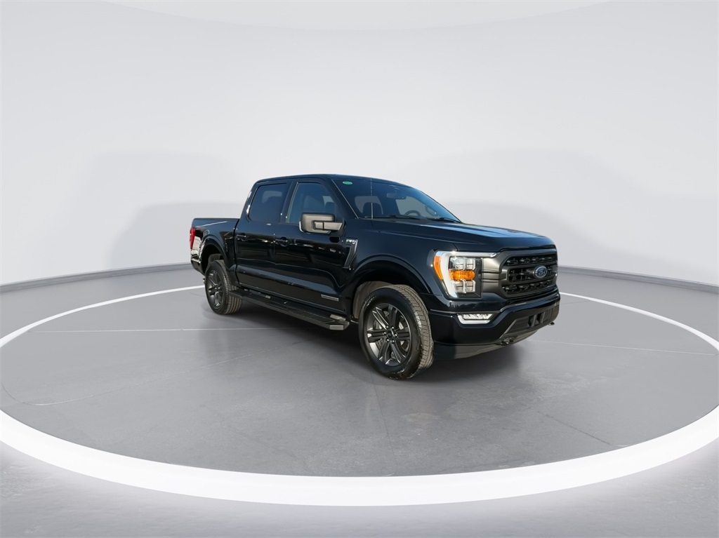 2023 Ford F-150 XLT 2