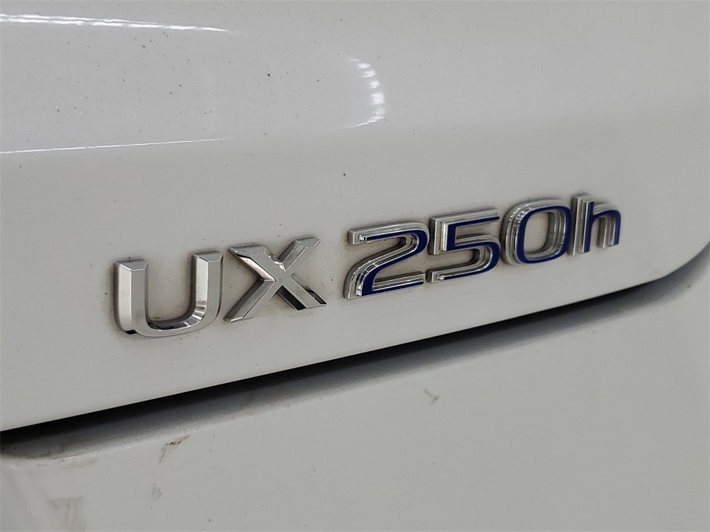 2021 Lexus UX 250h F SPORT 35