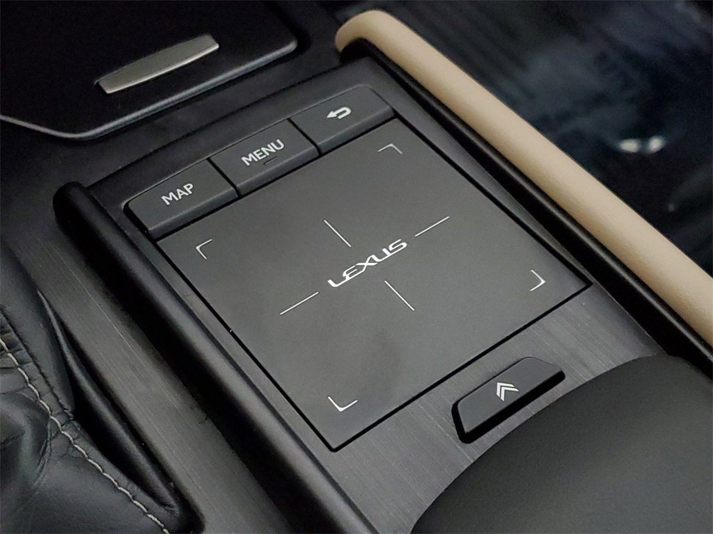 2021 Lexus ES 250 25