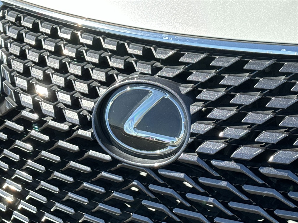 2022 Lexus RX 350L 14