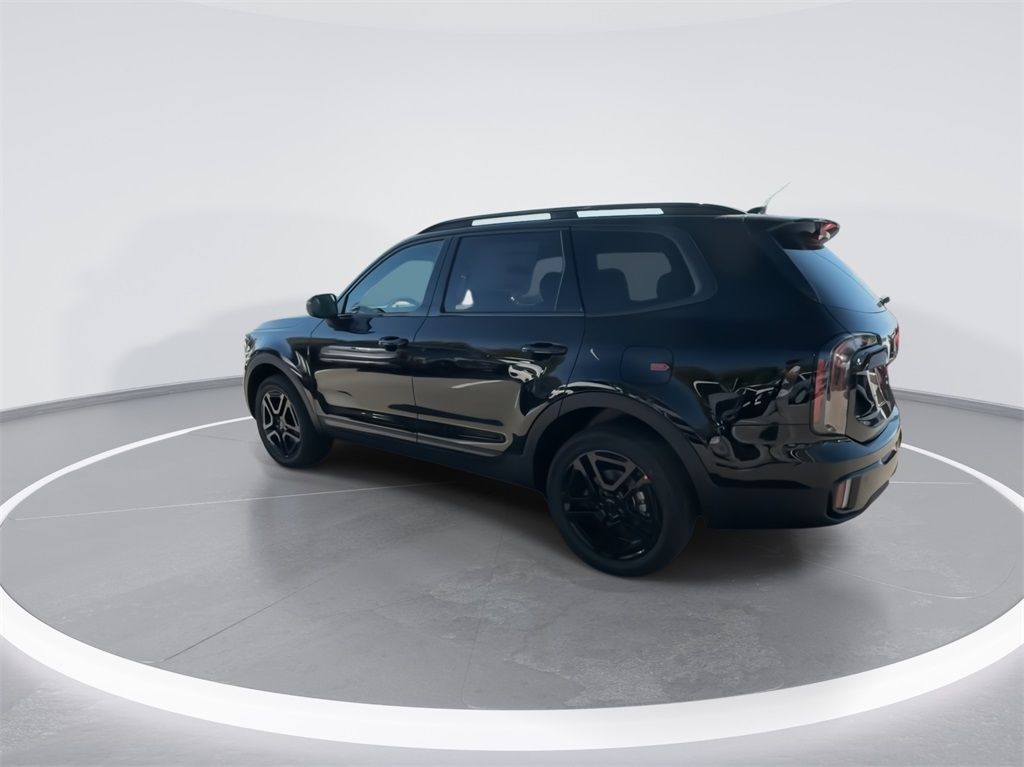 2025 Kia Telluride EX X-Line 11