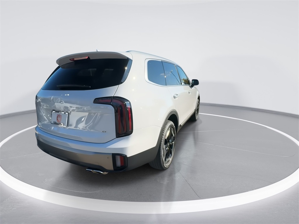 2025 Kia Telluride EX 11