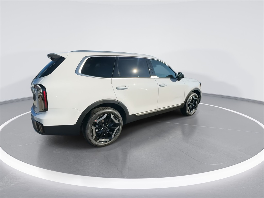 2025 Kia Telluride EX 12