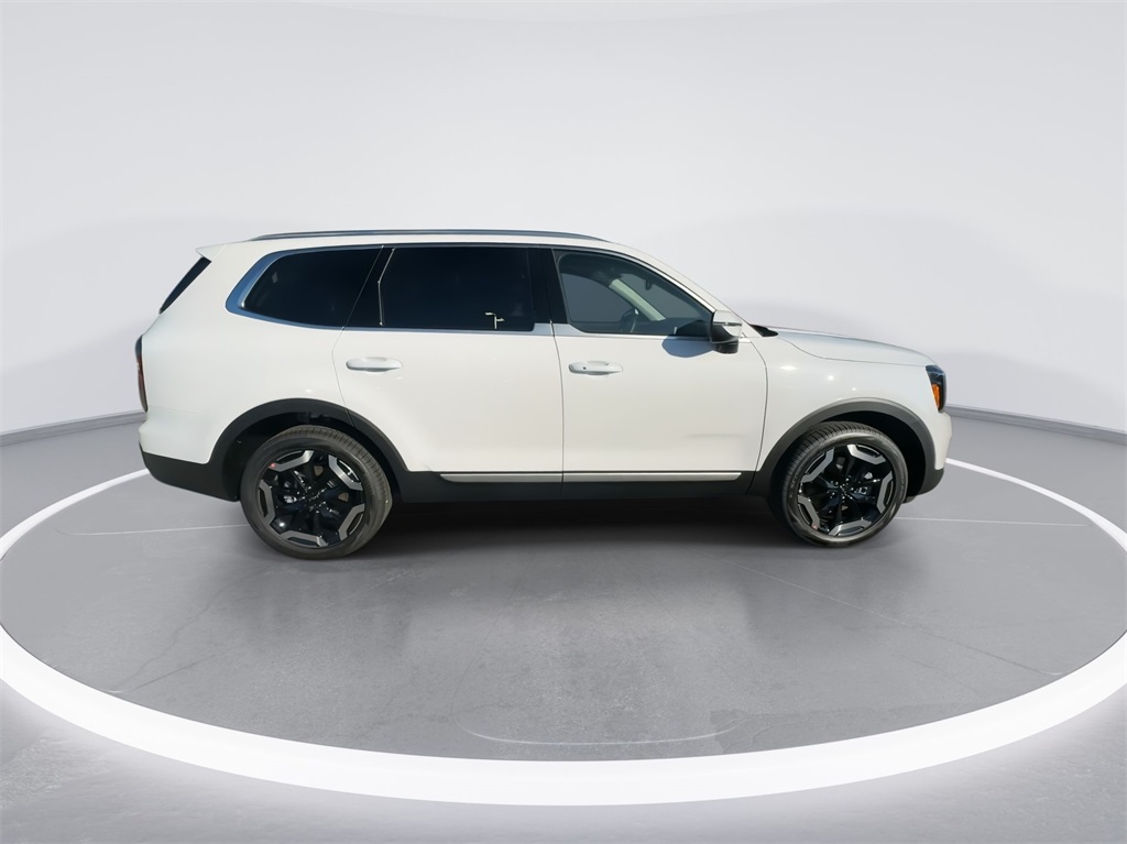 2025 Kia Telluride EX 13