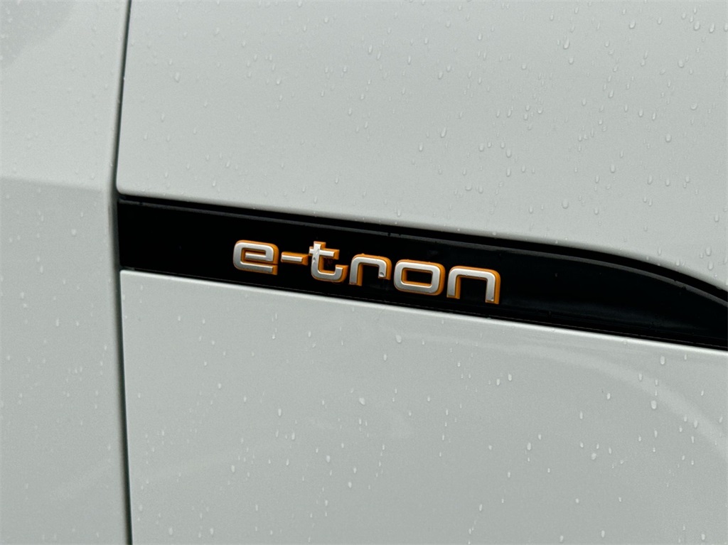 2020 Audi e-tron Premium Plus 14