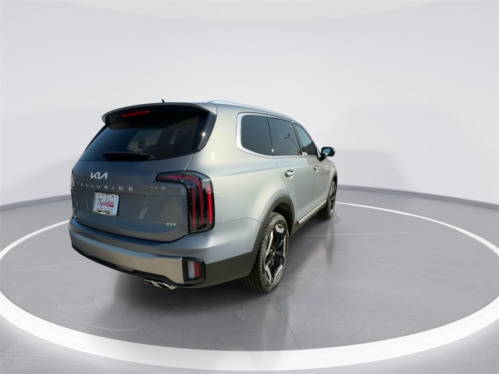 2025 Kia Telluride EX 10