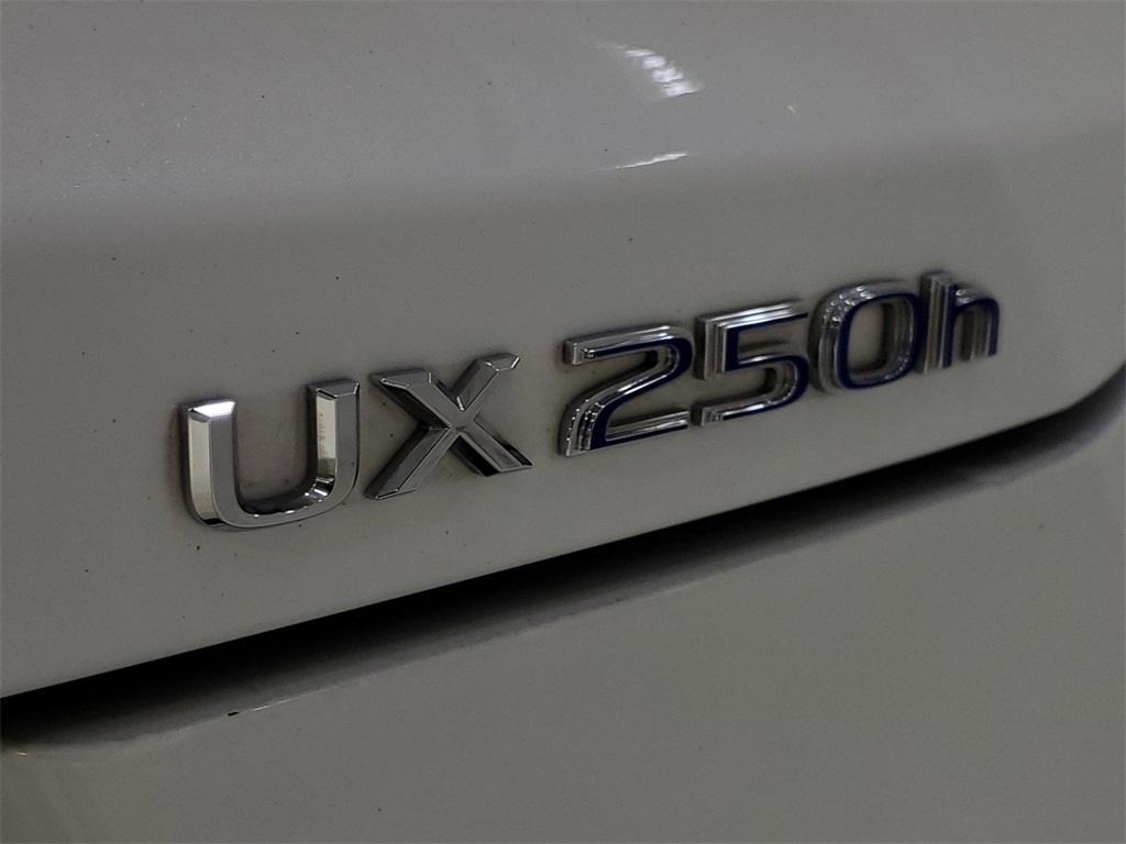 2021 Lexus UX 250h F SPORT 35