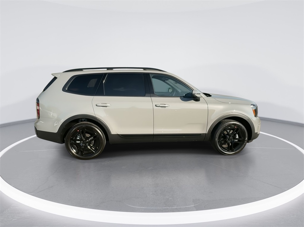 2025 Kia Telluride EX X-Line 13