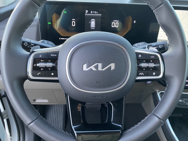 2025 Kia Carnival Hybrid EX 22