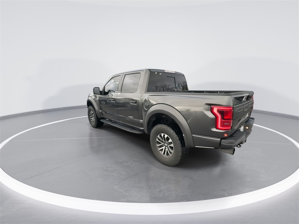 2020 Ford F-150 Raptor 8