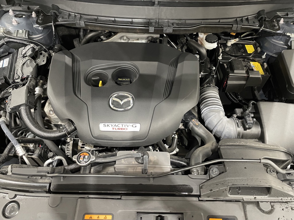 2021 Mazda CX-9 Carbon Edition 7