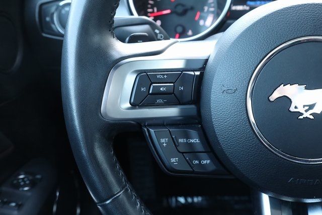 2019 Ford Mustang GT Premium 12