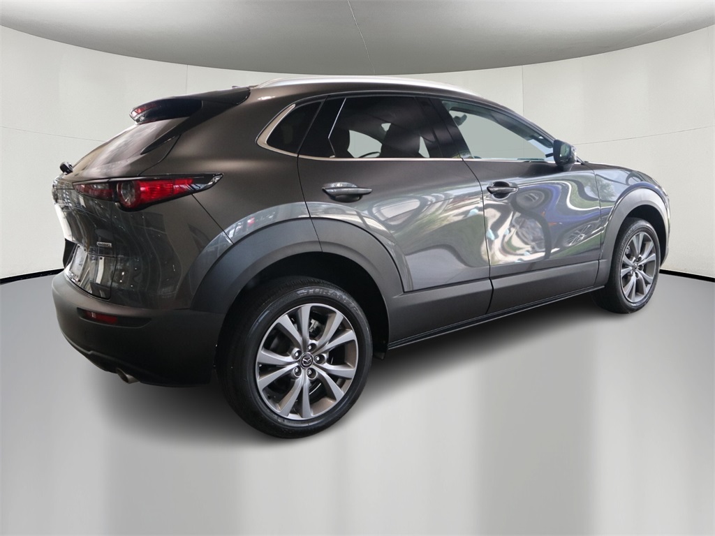 2021 Mazda CX-30 Premium 6