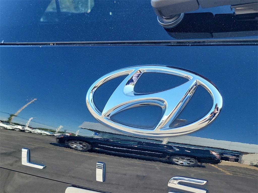 2022 Hyundai Palisade Calligraphy 4