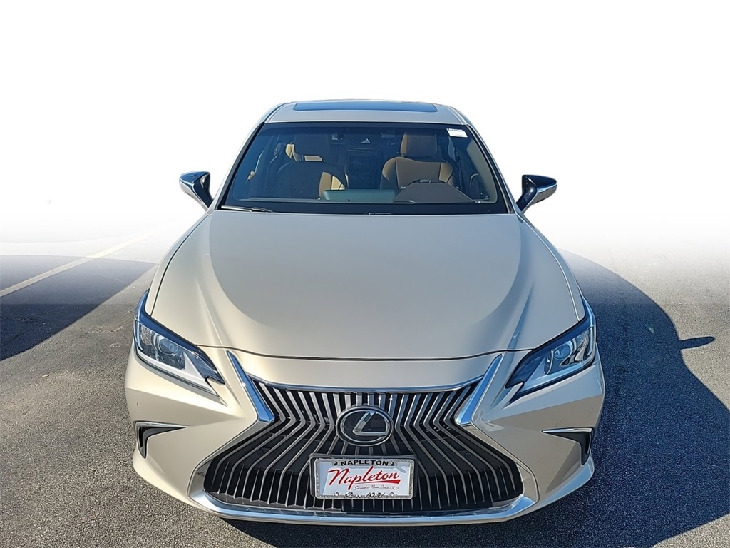 2019 Lexus ES  2