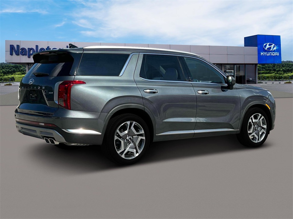 2025 Hyundai Palisade Limited 8