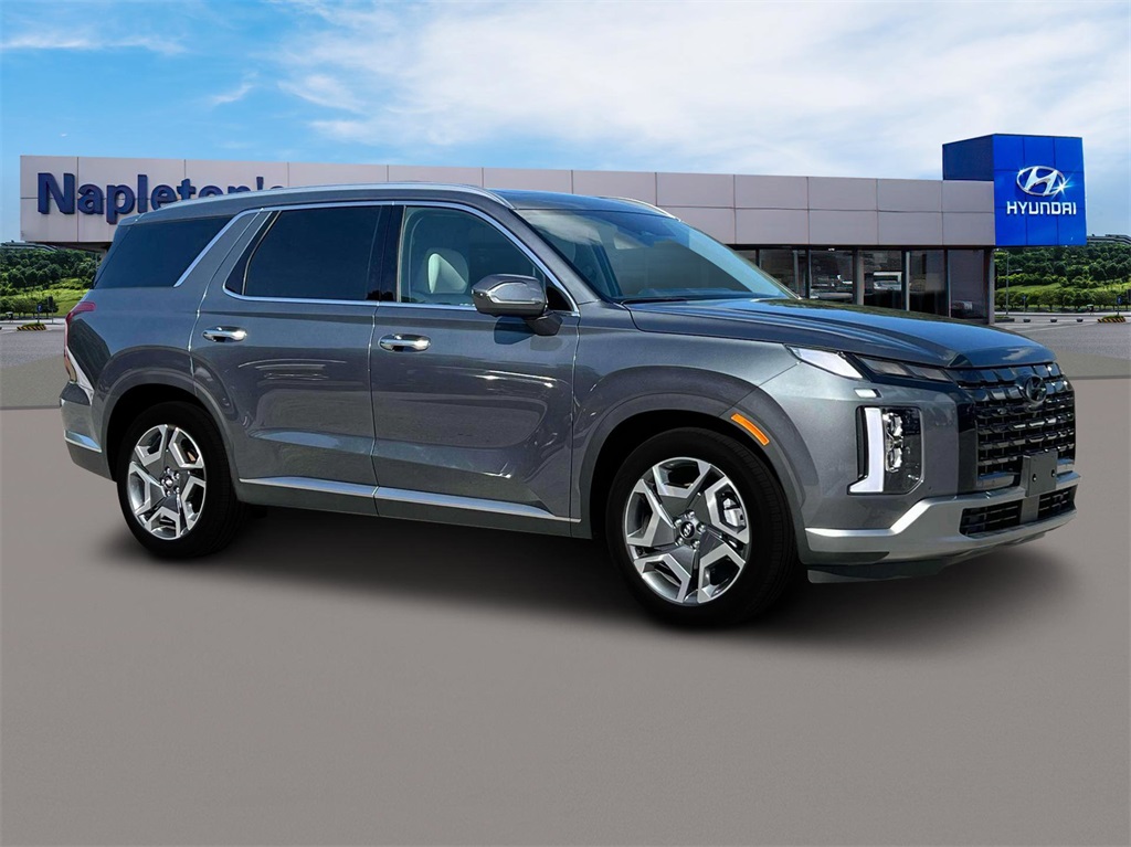 2025 Hyundai Palisade Limited 10