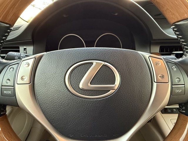 2014 Lexus ES 300h 14