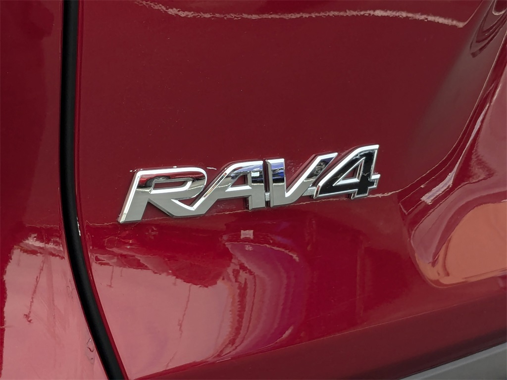 2019 Toyota RAV4 Limited 30