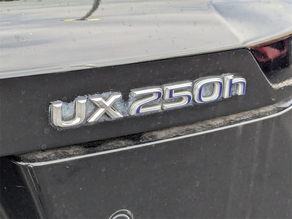 2021 Lexus UX 250h Base 29