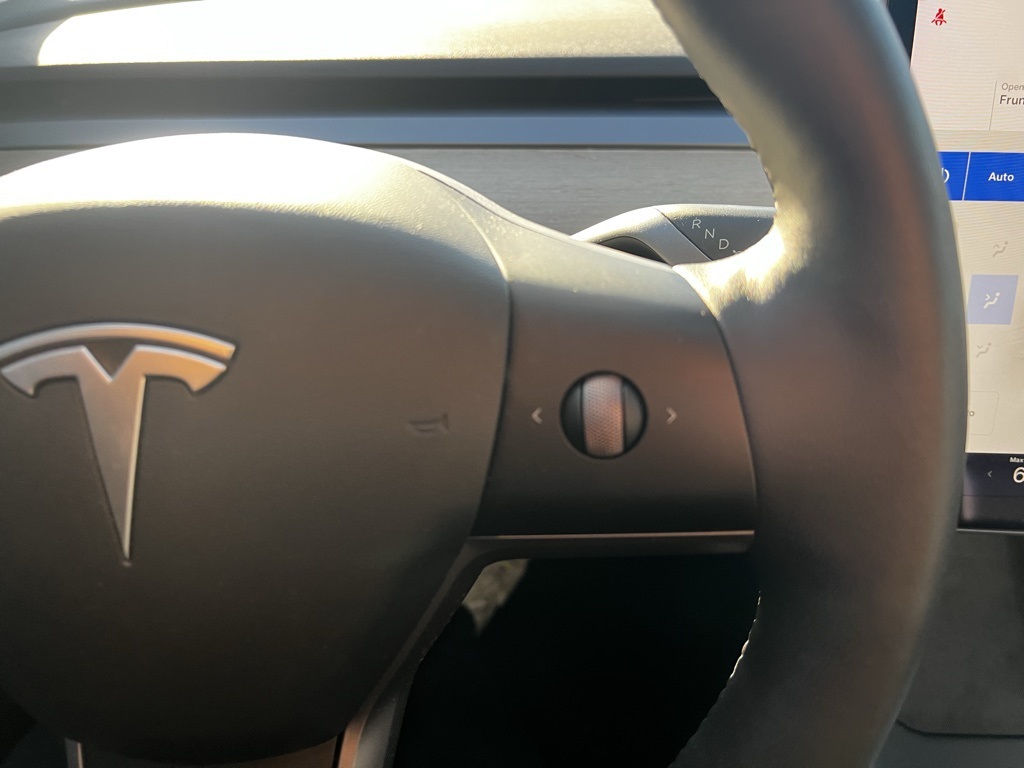 2021 Tesla Model 3 Standard Range Plus 18