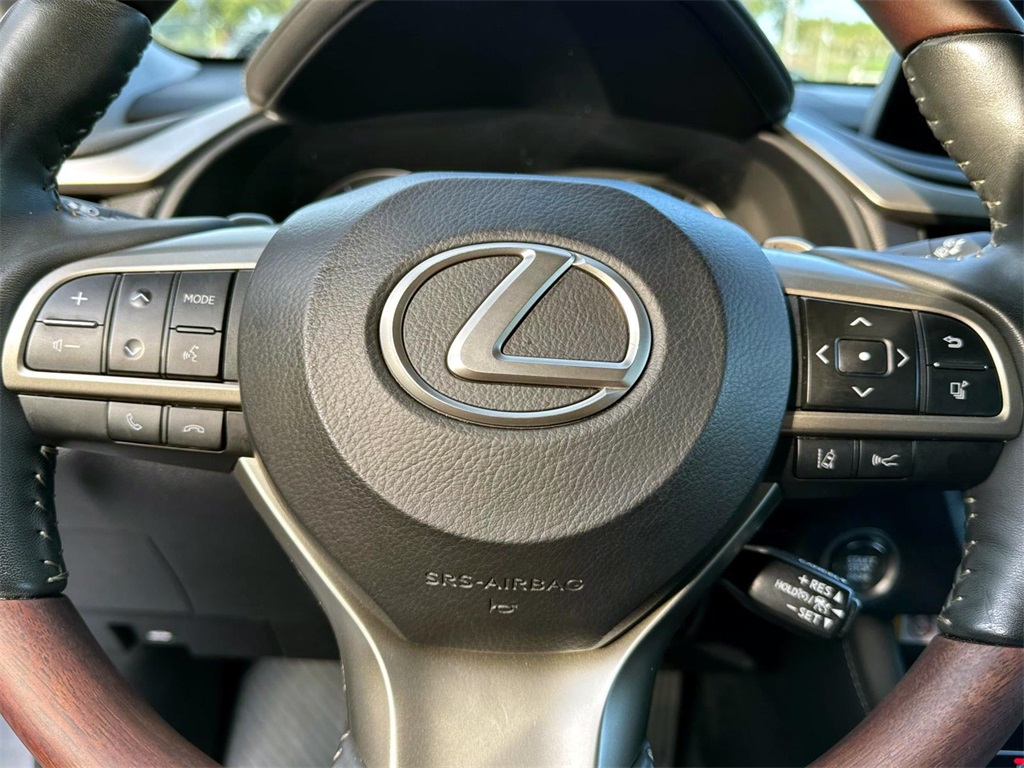 2022 Lexus RX 350 11