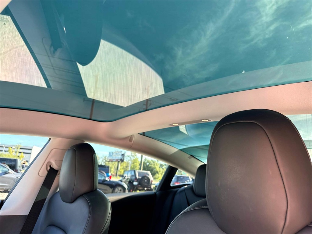 2019 Tesla Model 3 Standard Range Plus 15
