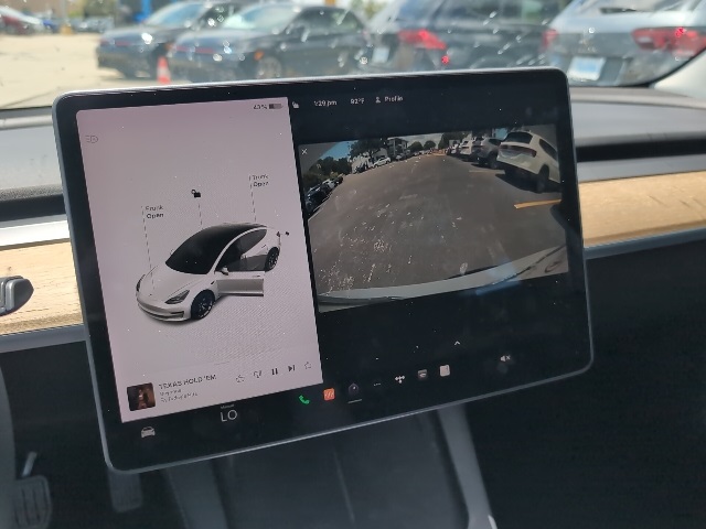 2021 Tesla Model 3 Standard Range Plus 12