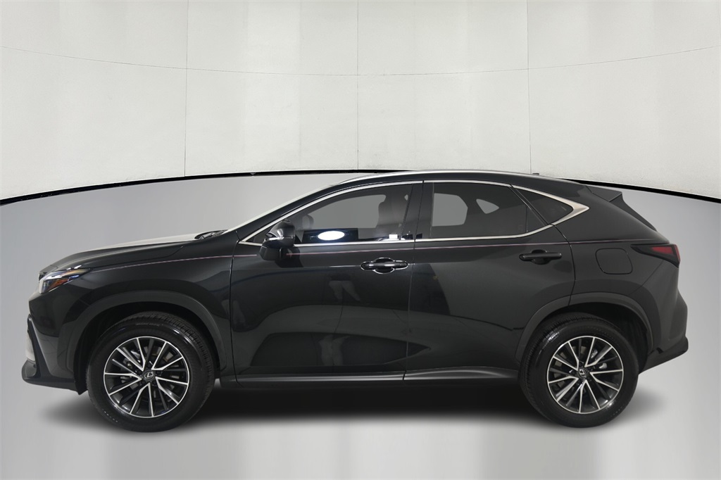 2024 Lexus NX 350h Premium 4