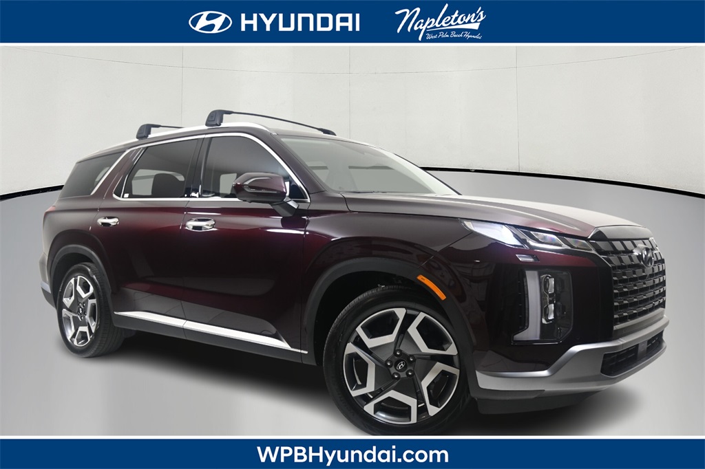 2023 Hyundai Palisade Limited 1