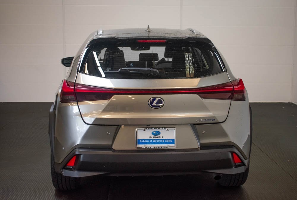 2021 Lexus UX 250h Base 6