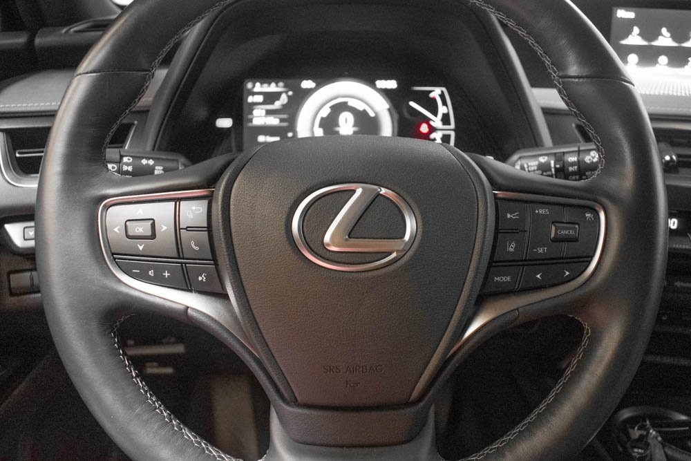 2021 Lexus UX 250h Base 10