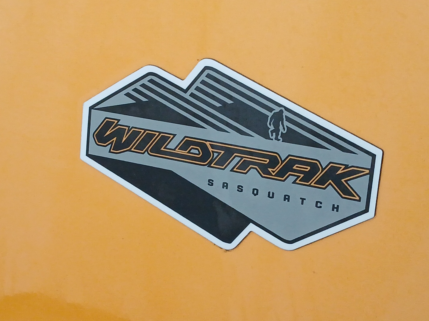 2022 Ford Bronco Wildtrak 21