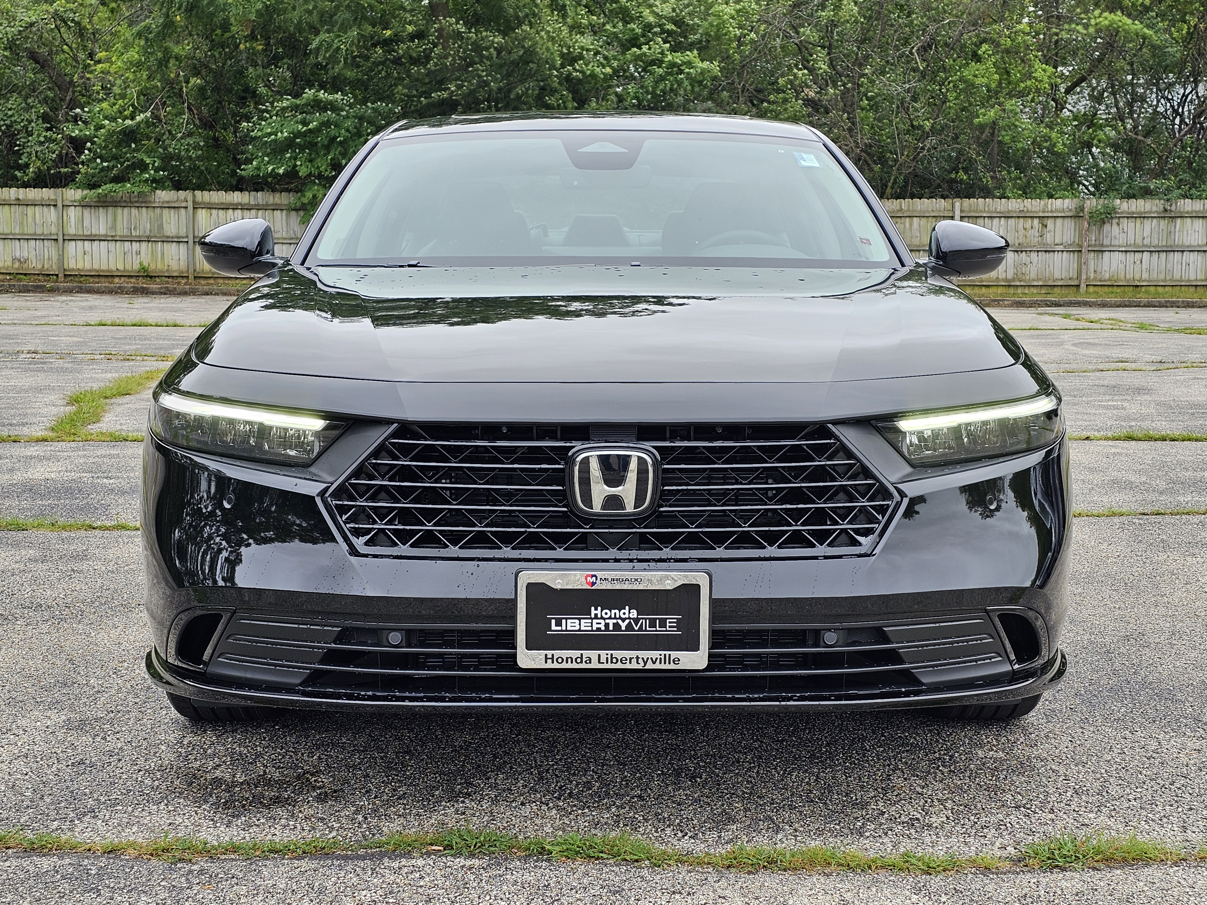 2024 Honda Accord Hybrid EX-L 23