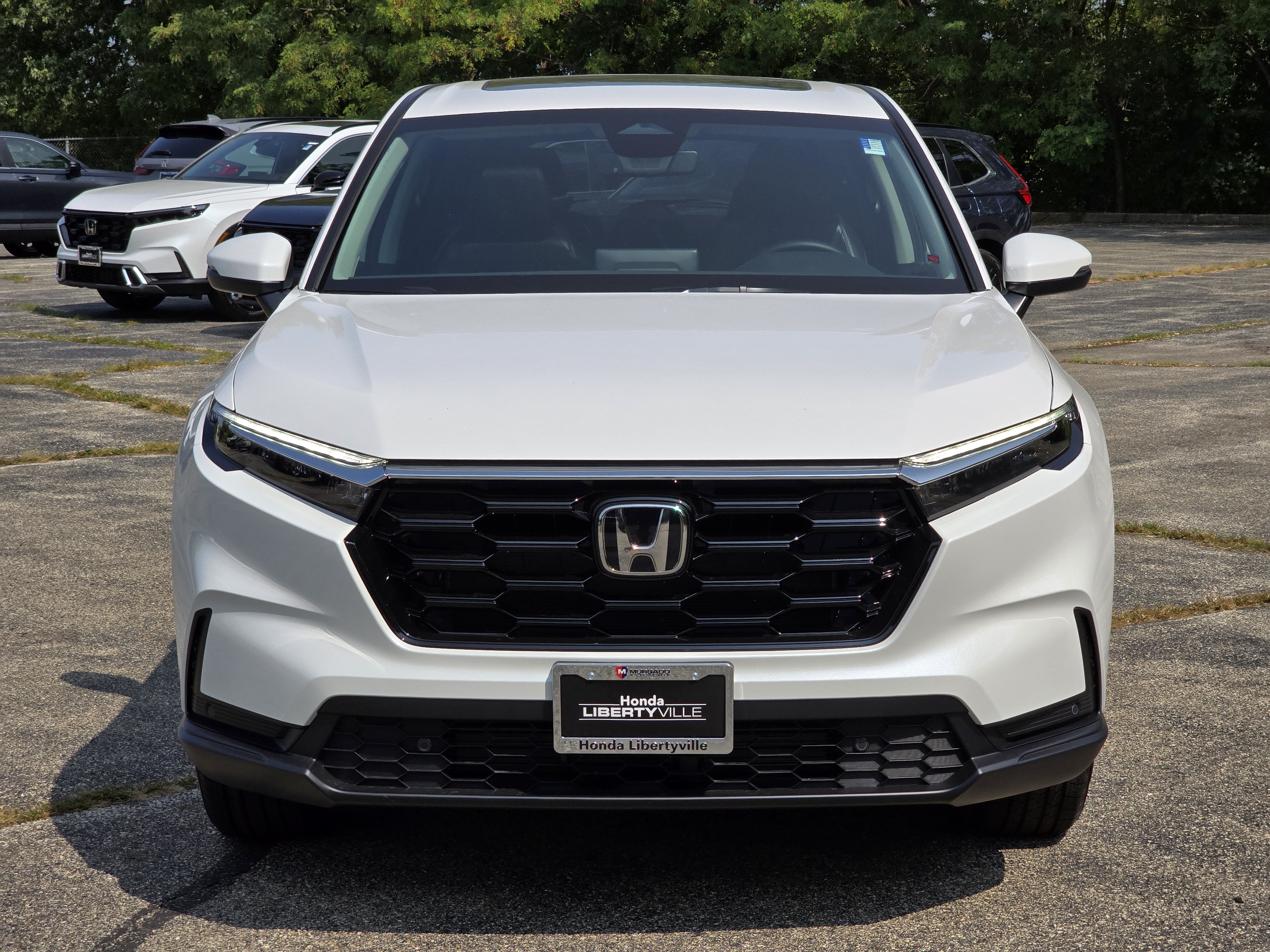 2025 Honda CR-V EX-L 10