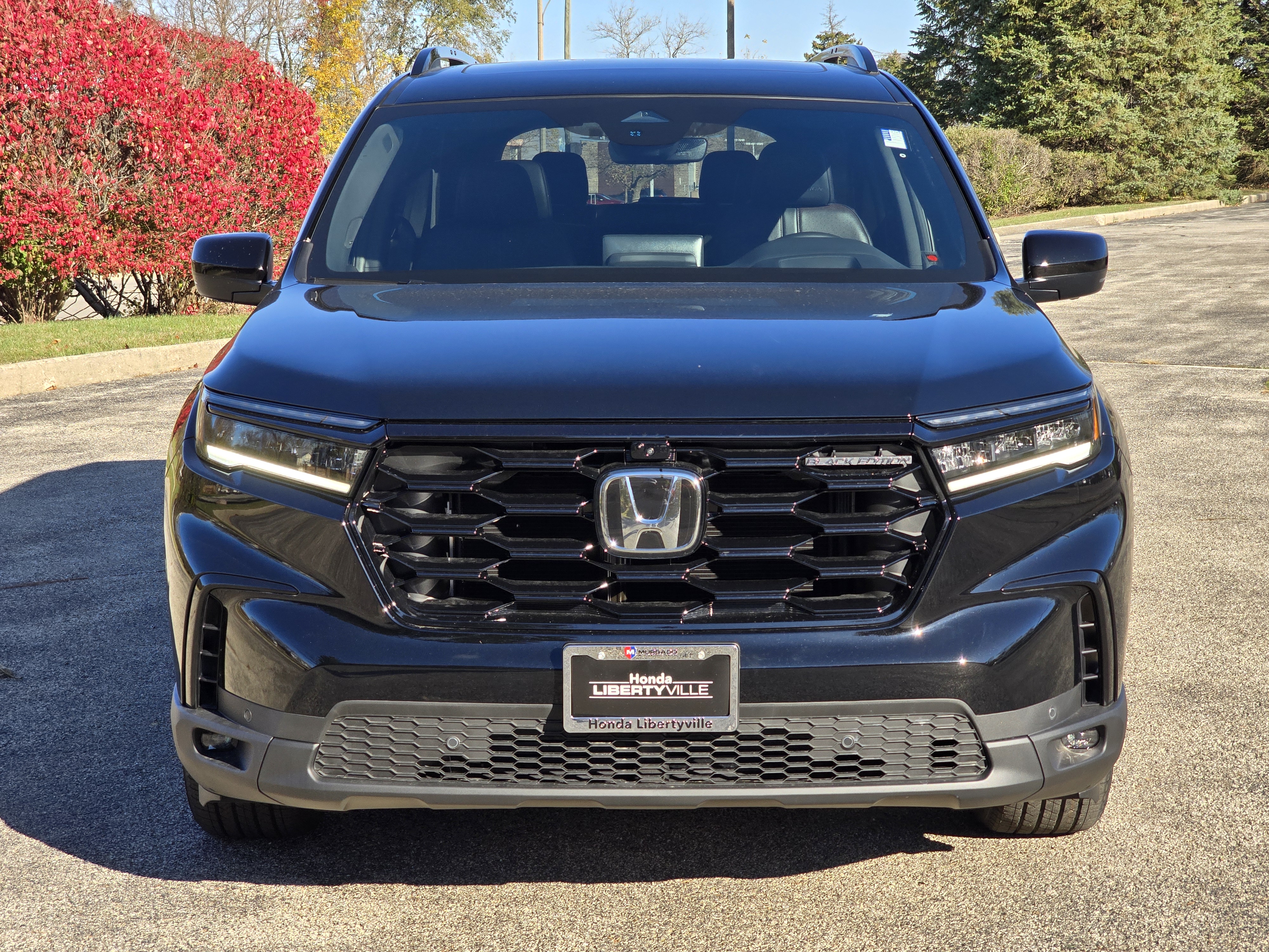 2025 Honda Pilot Black Edition 19