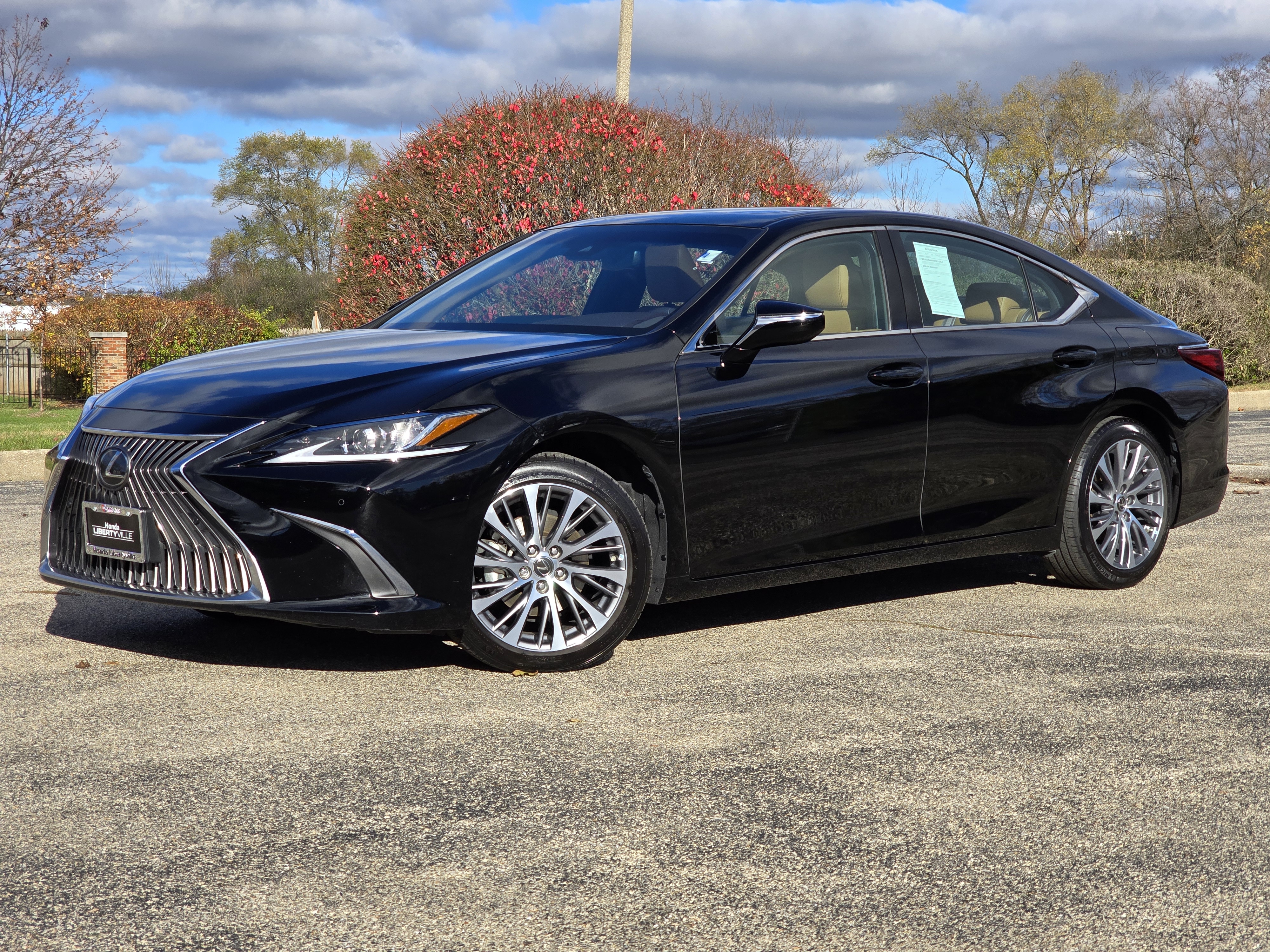 2019 Lexus ES 350 1