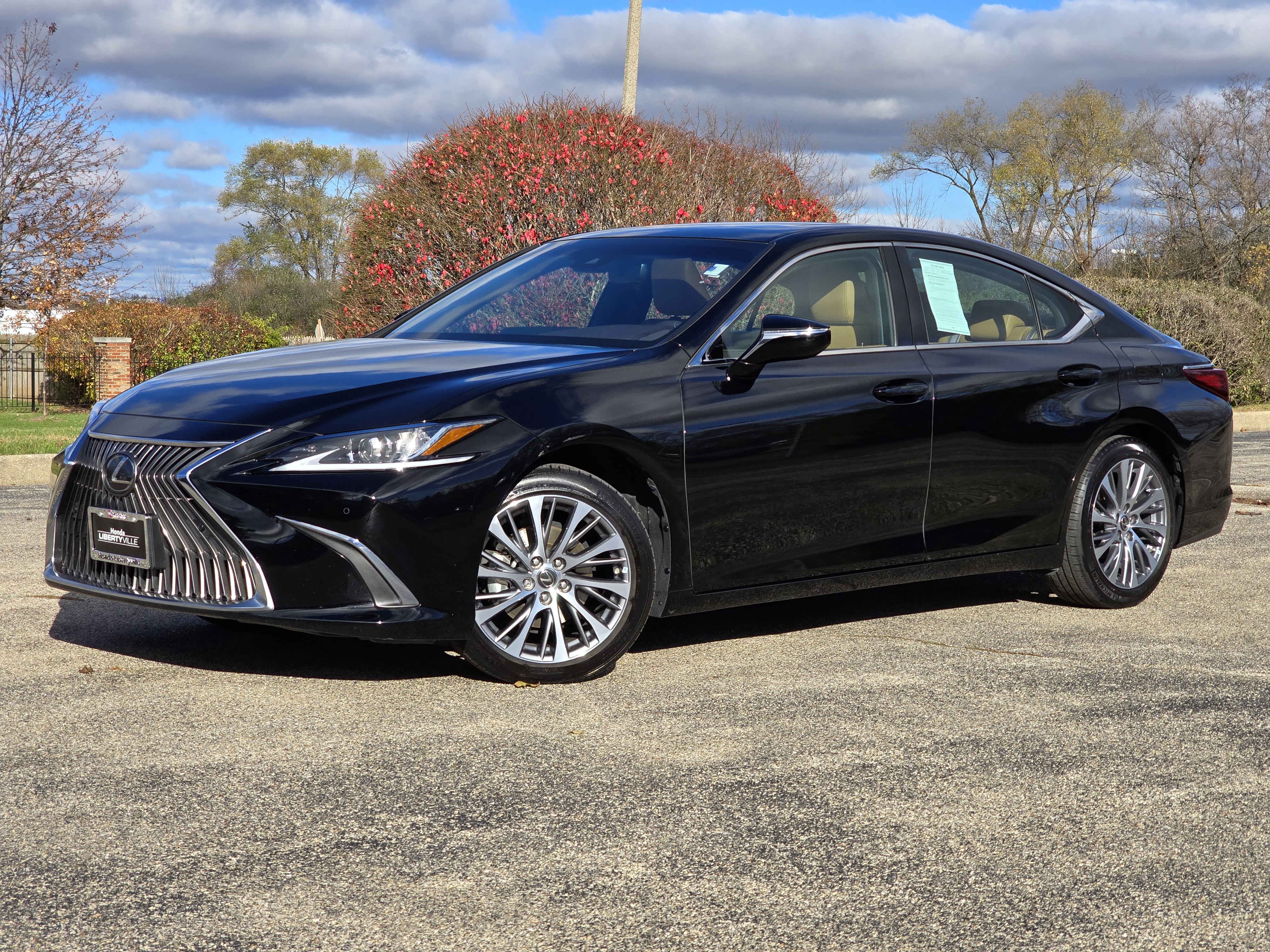 2019 Lexus ES 350 12