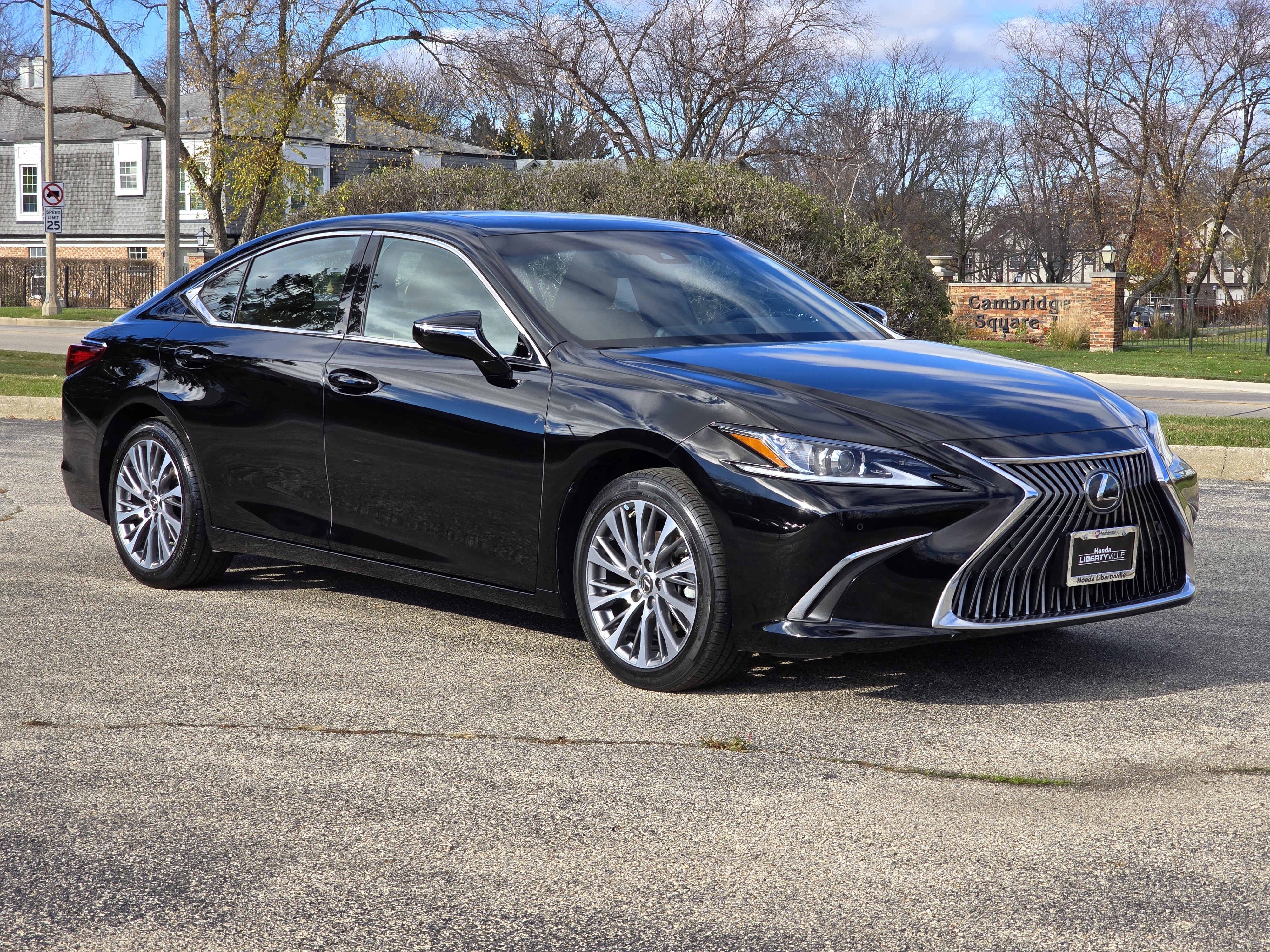 2019 Lexus ES 350 21