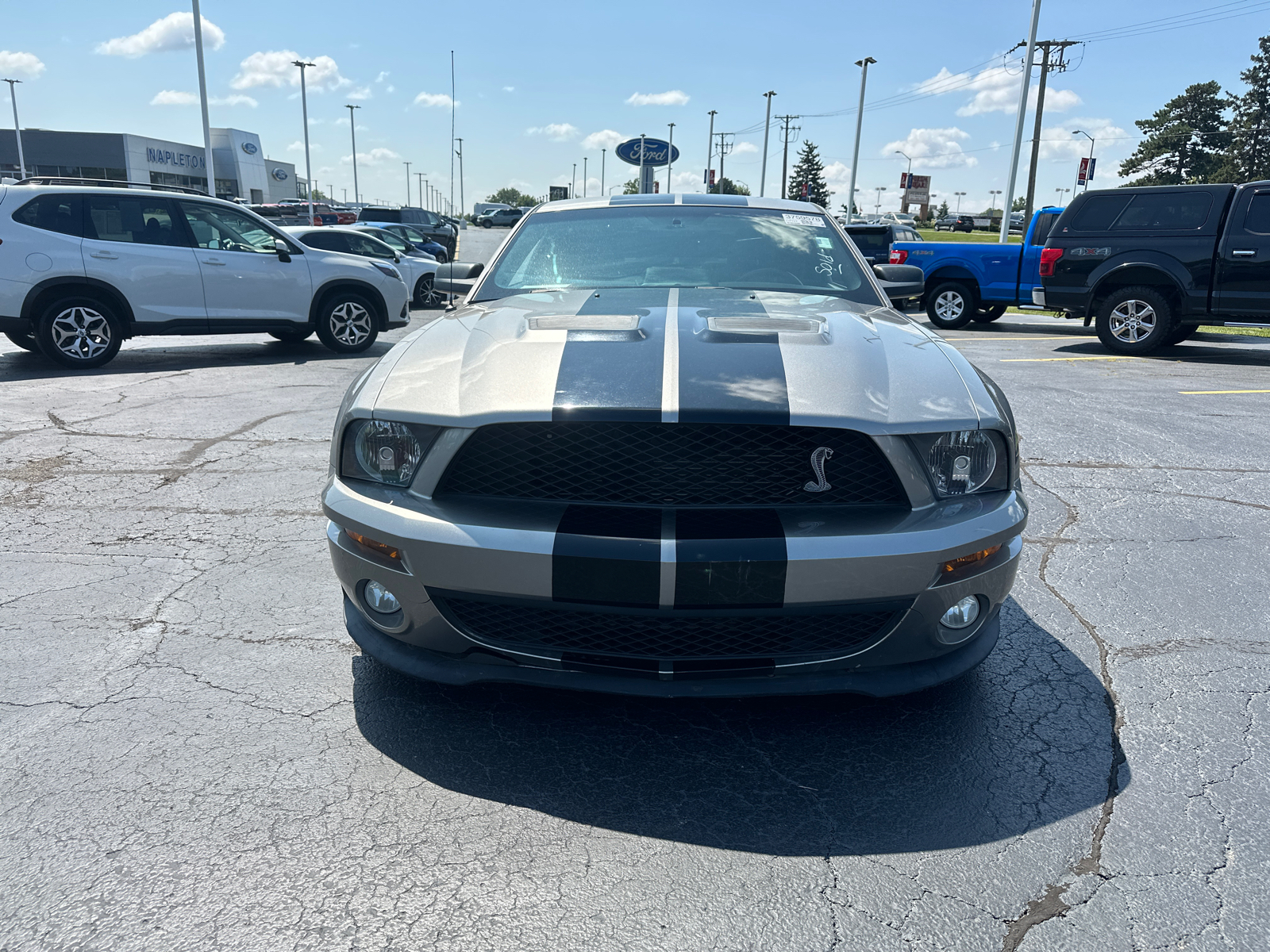 2009 Ford Mustang Shelby GT500 3