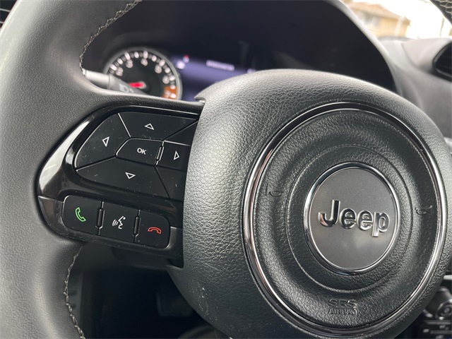 2021 Jeep Renegade 80th Edition 15