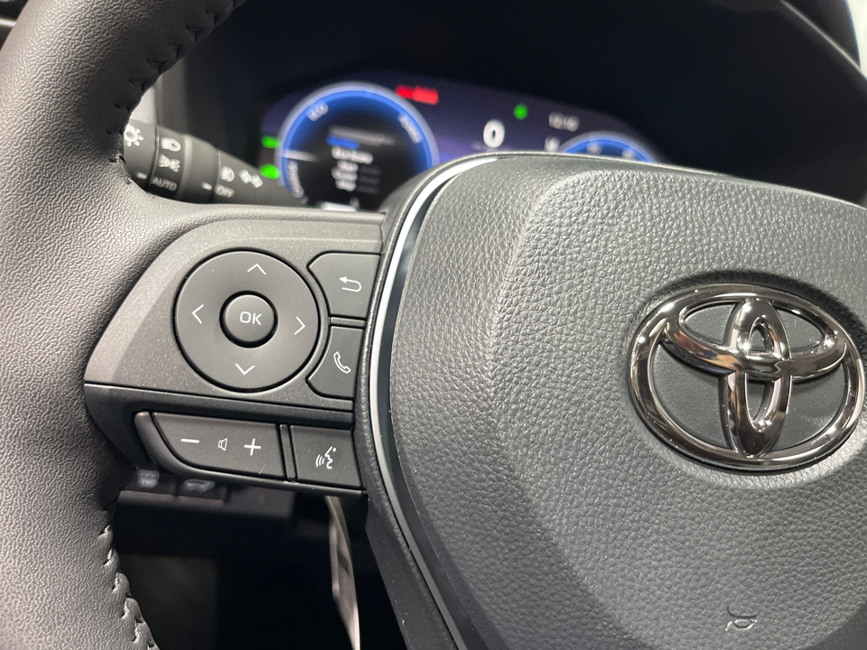 2024 Toyota RAV4 Hybrid Limited 22