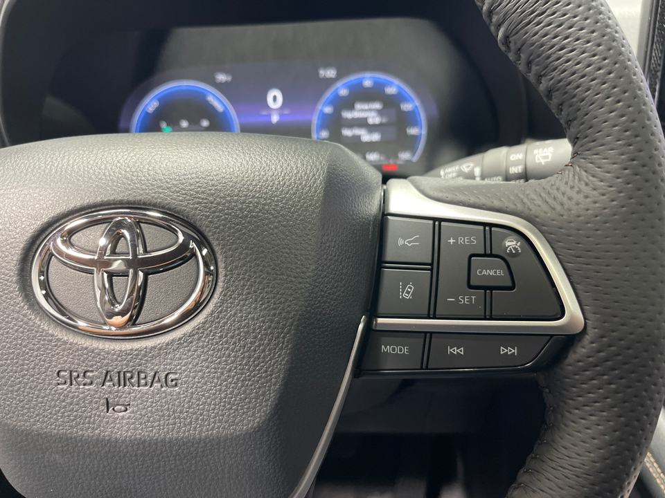 2025 Toyota Sienna Platinum 27